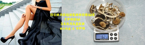 прущие грибы Абинск