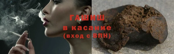 прущие грибы Абинск
