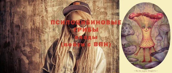 индика Абдулино