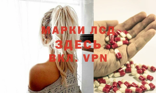 прущие грибы Абинск