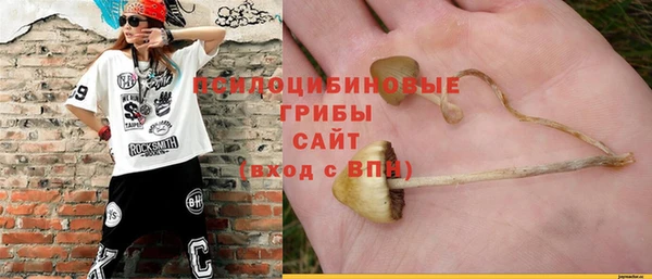 прущие грибы Абинск