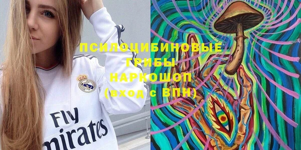 прущие грибы Абинск